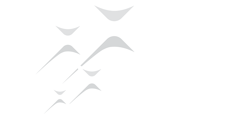 RI Theme 2024-25 The Magic of Rotary